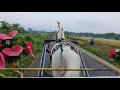 Download Lagu Keliling Kota Naik Delman – Sensasi Transportasi Tradisional di Era Modern versi lagu remix