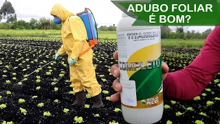 ADUBO VIA FOLIAR É BOM? | ADUBANDO A HORTA COM FERTILIZANTE VIA FOLIAR