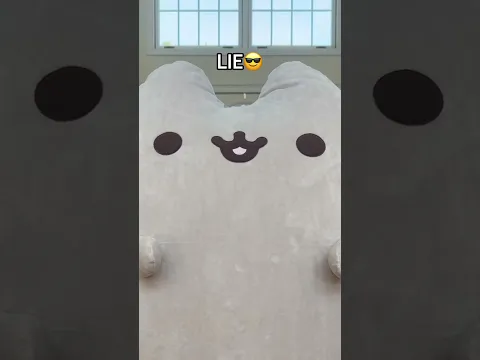Booty #pusheen #plush #plushies #kawaii #cute #cat #kitty #squish #squishy #squishmallows #funny