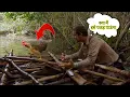 Download Lagu क्या मैं इसे पकड़ पाऊंगा Men vs Wild full episode Hindi ll Bear Grylls ll Bear vs Chicken  #wild