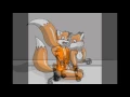 Fox tf