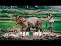 Download Lagu Power of agriculture whatsapp status || agriculture is a future status || #farming