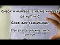 C program to check if a number is prime or not Code and flowchart Step by step YourStudyGuide