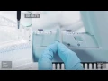 Equalizer Challenge - Gel Loading