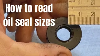 How to IDENTIFY OIL SEAL SIZES when there s no parts fiche reference