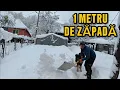 Lagu Iarnă Grea în Munții Apuseni – Viața la Sat sub 1 metru de zăpadă