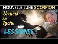 Lagu Nouvelle Lune en Scorpion 2025 : le tournant que tout le monde attend🔴