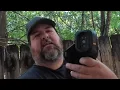 FLIR Vevor Thermal Cameras