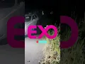 Download Lagu Unbelievable Tiny Alien Caught on Camera!!!
