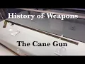 History Of The Cane Guns