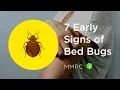 7 Early Signs of BED BUGS How to Know if You Have Bed Bugs