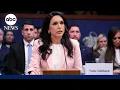 Intelligence Director Tulsi Gabbard resigns