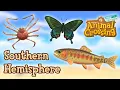 ALL NEW Southern Hemisphere Fish Bugs and Sea Creatures In September Animal Crossing New Horizons