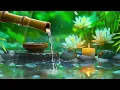 Relaxing Spa Music - Beautiful Peaceful, Calm Music, Meditation, Nature Sounds, Bamboo Water Sounds