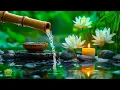 Download Lagu Relaxing Spa Music - Beautiful Peaceful, Calm Music, Meditation, Nature Sounds, Bamboo Water Sounds