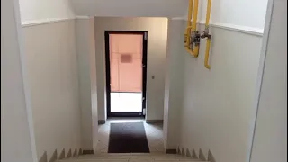                     دندنها