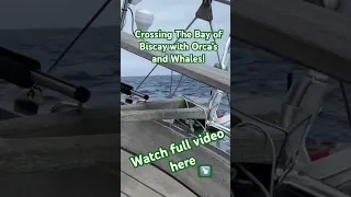 Crossing the Bay of #Biscay with Orca’s and Whales #sailing #sailingadventures #solosailing