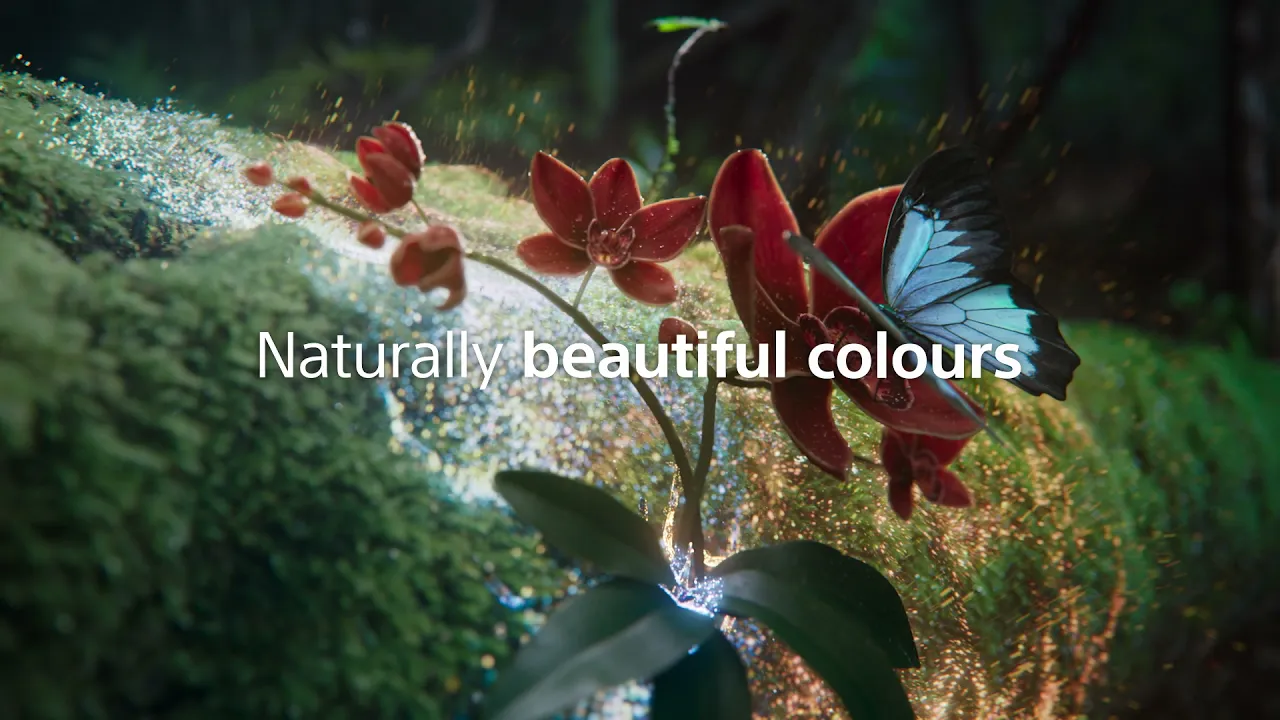 Bravia XR Animated 3D video