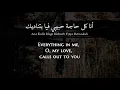 Sherine - Ana Kully Melkak (Egyptian Arabic) Lyrics + Translation - شيرين - أنا كلي ملك