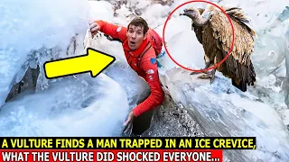 Download Climber Got Stuck in a Crack, When a Vulture Landed Next to Him Something Happened MP3