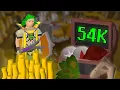 This Chest can Make You MILLIONS in OSRS Wiki to Wealth