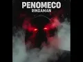 PENOMECO 페노메코 - RINDAMAN(Feat. ZICO) | Hard Basshouse remix