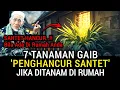 Download Lagu SANTET HANCUR‼️INILAH 7 TANAMAN PENANGKAL SANTET, SIHIR, DAN ILMU HITAM JIKA DITANAM DI DEPAN RUMAH