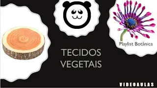 Tecidos vegetais
