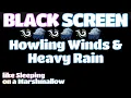 Download Lagu Get a GREAT Night's Sleep with the Sound of Howling Winds and a Thunderstorm | BLACK SCREEN!
