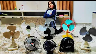 VENTILADOR FAME CONSEGUI GIRAR O GIGANTE VENTURA #jesus #kipasangin #fan #arno #fame #kipas