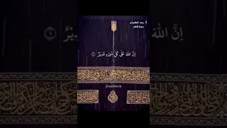 مقطع من سورة فاطر للشيخ رعد الكردي 