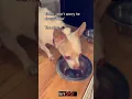 Download Lagu https://www.instagram.com/reel/DNmV23ivjBN/?igsh=bmcwc2o3MGZ4enBj