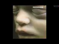 Rammstein - Rein Raus
