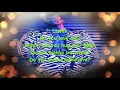 DC Young Fly - 24 Hrs (Lyrics)