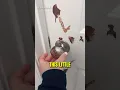 The Most Creative Elf On The Shelf