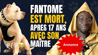 Le Chien Fantome Est Mort Son Maitre Boy Djine Craque 
