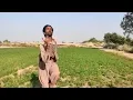 Pakistan Gayi | Kaaf Kangana | Neelam Muneer | Official HD