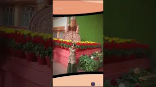                     دندنها