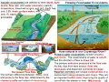 Freshwater Flowing Standing Water Ecosystems