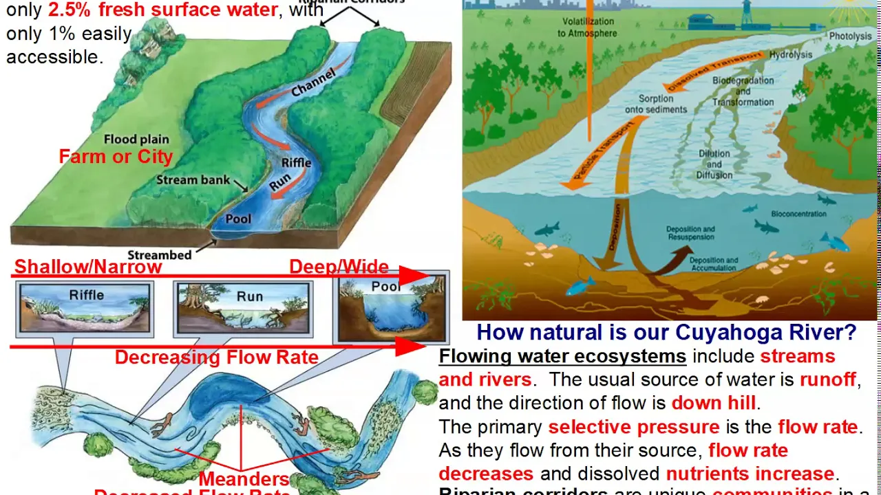 Freshwater Flowing & Standing Water Ecosystems!