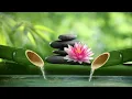 Rahatlatıcı Piyano Müziği - Uyku Müziği, Su Sesleri, Neşeli Ve Pozitif Düşünce İçin Meditasyon