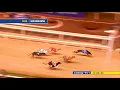 Irish Greyhound Derby 2023