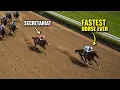 The Fastest Horse in Human History Isn t Who You Think
