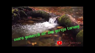 kombinasi suara air mengalir dan gereja tarung ampuh untuk masteran gacoan anda 100 ampuh