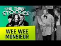 THREE STOOGES - Wee Wee Monsieur