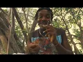 Green Lion Crew x Roe Summerz x Boostive - I Smoke Pot (Official Music Video)