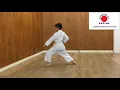 Jacob White Belt Kihon Kata