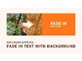 CSS Image Hover Effects Fade in Text with Background