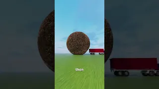 What If We Shaved Off Everyone S Hair 