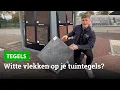 Witte vlekken op je tegels | Wat is kalkuitbloei? - Bestratingsweb.nl